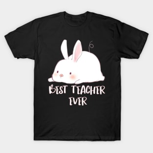 Some Bunny Loves Teaching T-Shirt